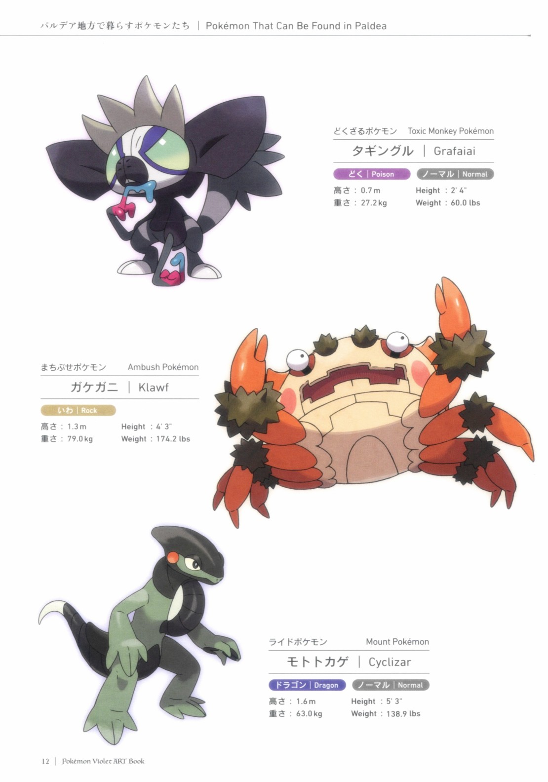 第12页