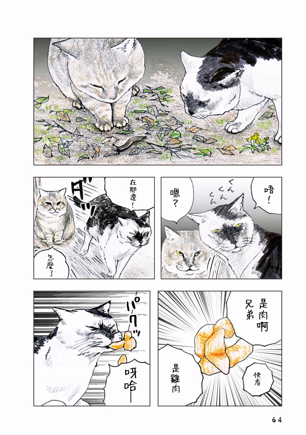 第36页