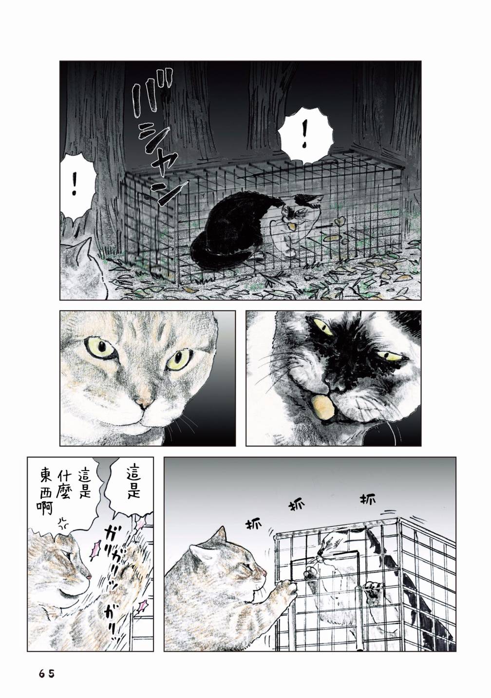 第37页