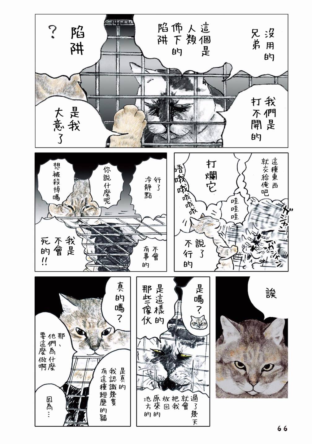 第38页
