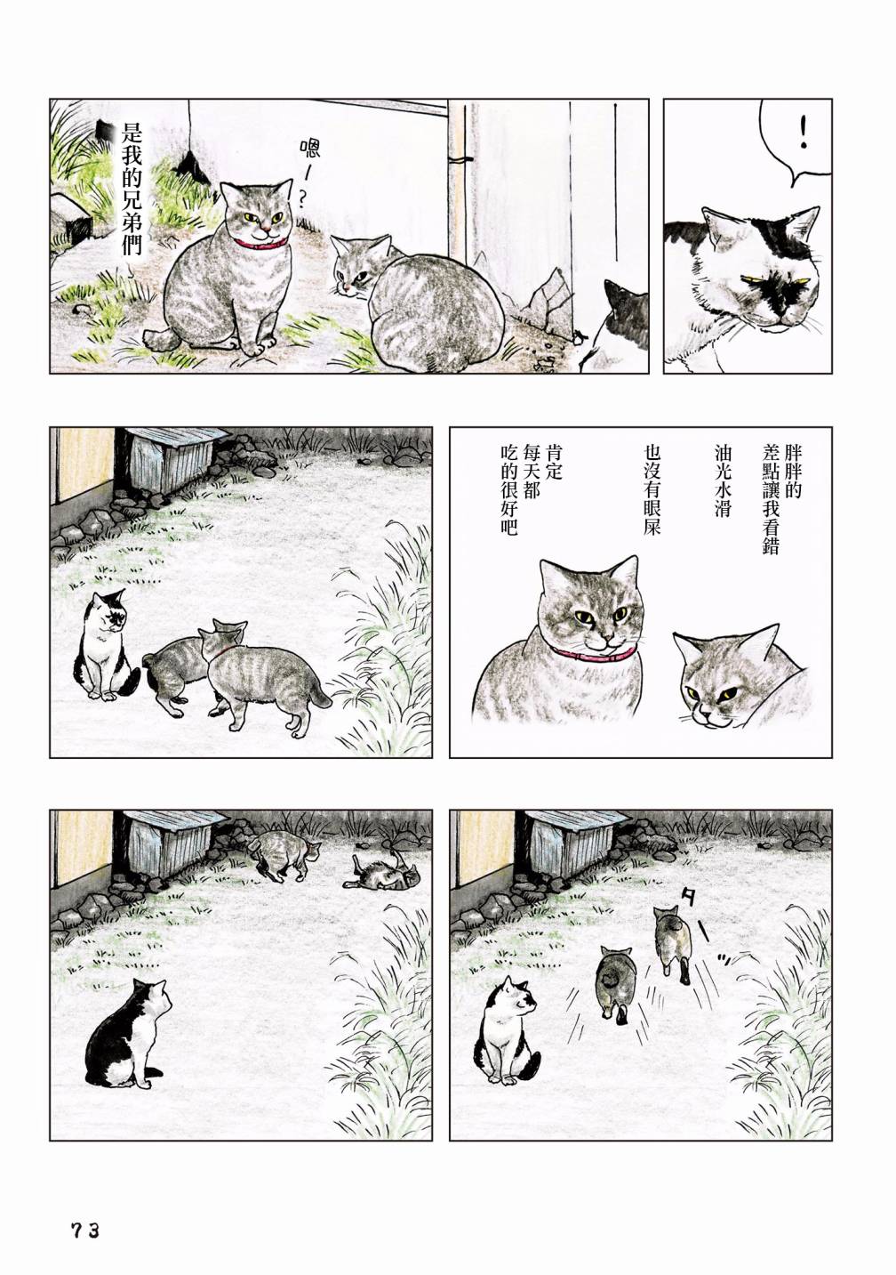 第45页
