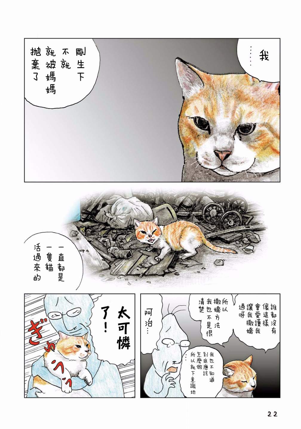 第3页