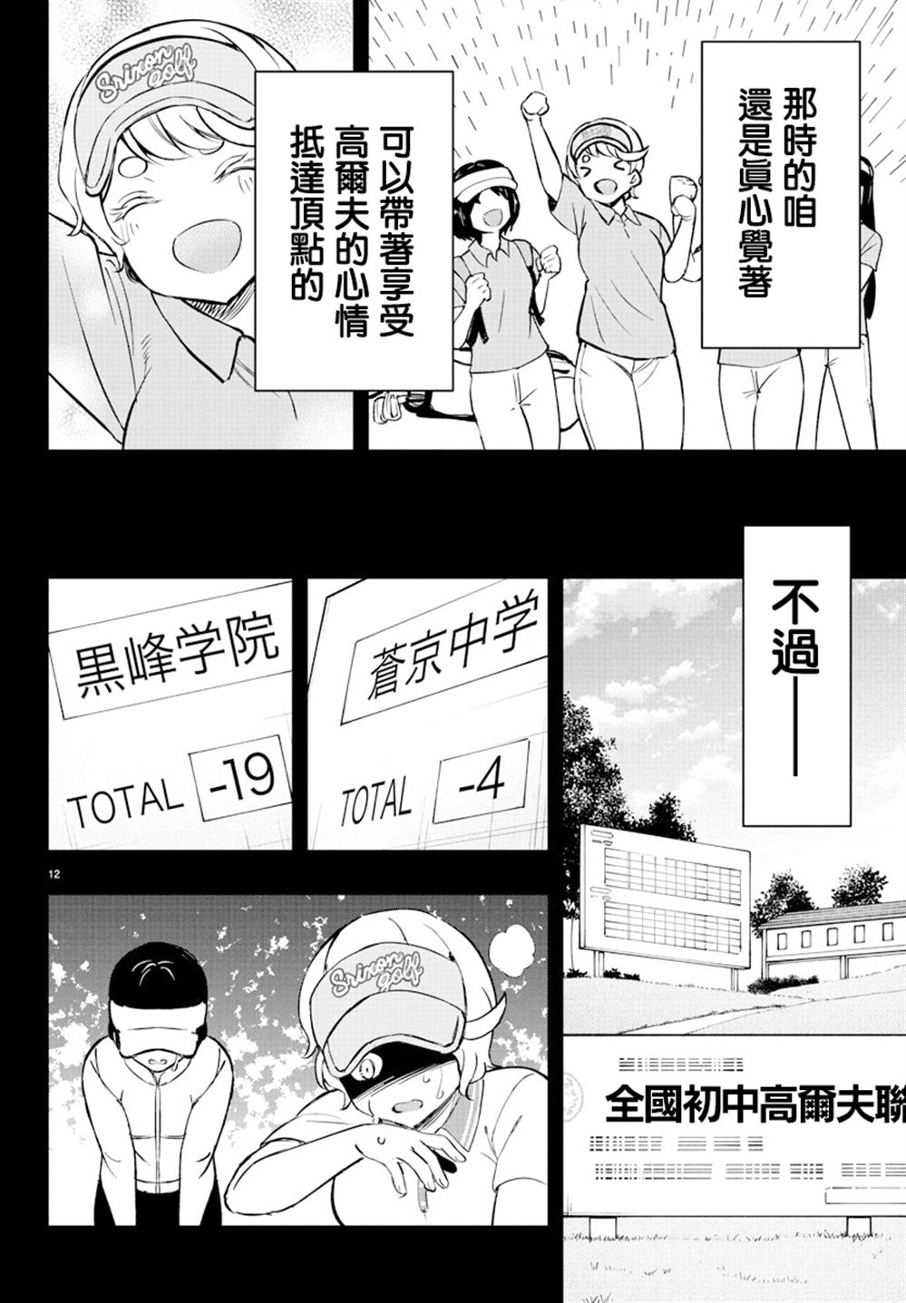 第12页