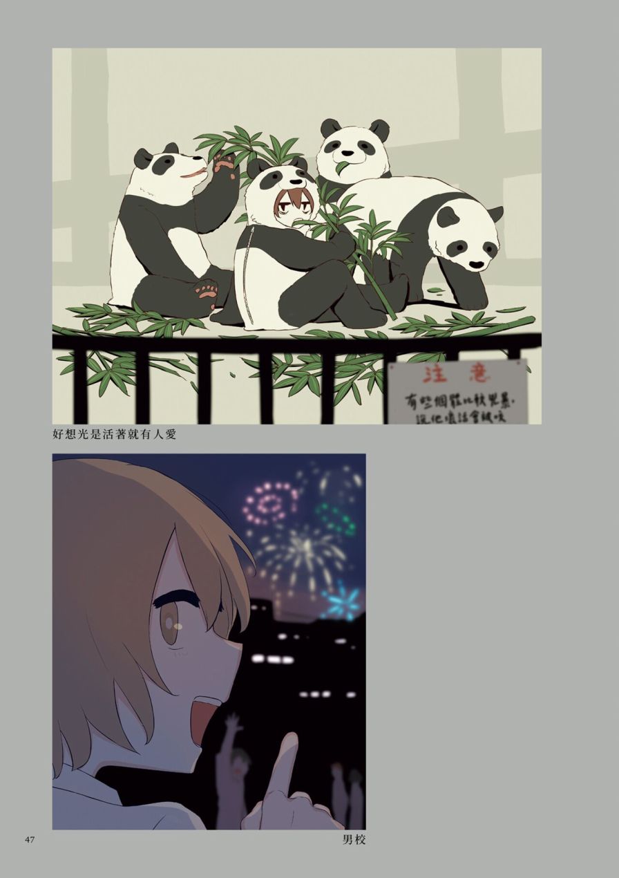 第51页